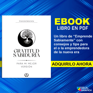 Libro de Gratitud y Sabiduría - Ebook