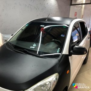 Plotteo Vehicular (7)